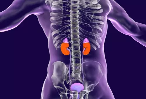 Imagen con las preguntas más frecuentes sobre la enfermedad renal, respondidas por el Dr. Antonio Moreno, nefrólogo en Cádiz, para resolver dudas comunes sobre la condición renal. Imagen con las preguntas más frecuentes sobre la enfermedad renal, respondidas por el Dr. Antonio Moreno, nefrólogo en Cádiz, para resolver dudas comunes sobre la condición renal.